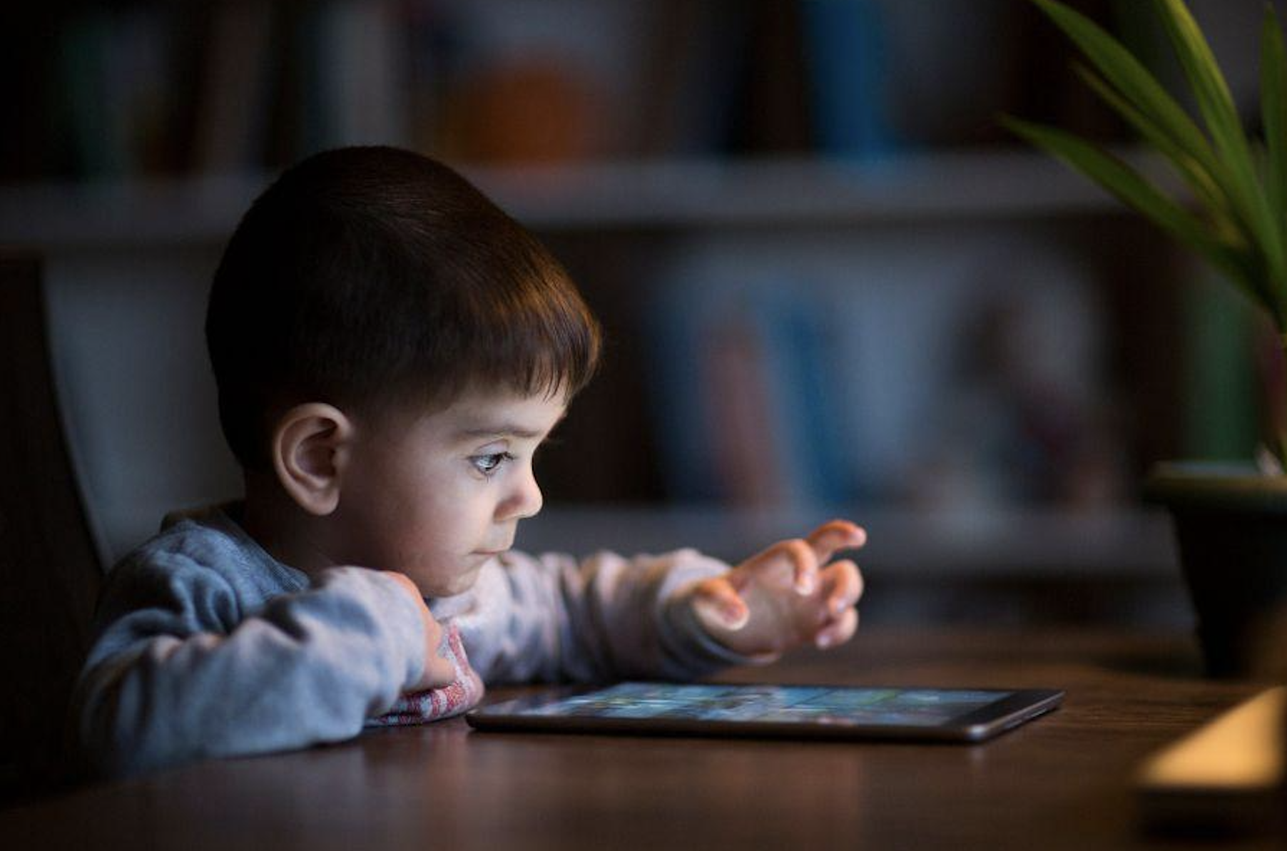 Screenpeace, des solutions durables pour lutter contre la surexposition aux écrans et l'addiction, à Paris - Diodes électroluminescentes et santé humaine